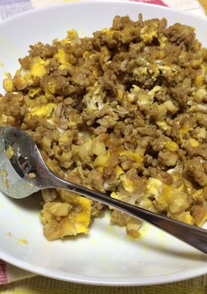 カレーそぼろ-レシピのメイン写真