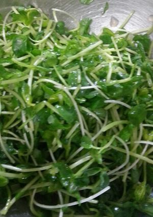 豆苗とかいわれ大根のエコサラダ◎-レシピのメイン写真