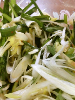 簡単おつまみネギとニラの中華風トッピング-レシピのメイン写真