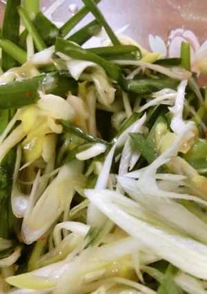 簡単おつまみネギとニラの中華風トッピング-レシピのメイン写真