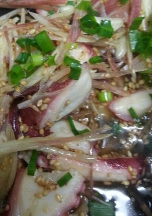 タコと長いもの香味サラダ☆中華風？-レシピのメイン写真