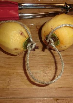 干し柿の作り方-レシピのメイン写真