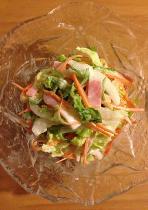 美味しい♪白菜サラダ☆-レシピのメイン写真
