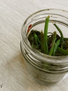 佃煮風♪かぼちゃのつるの甘辛煮-レシピのメイン写真