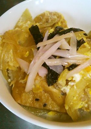 お手軽　がんも丼-レシピのメイン写真