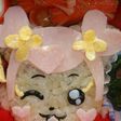 あいちゃん ♡ プリキュアキャラ弁