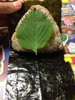 白髪ネギおかかおにぎり-レシピのメイン写真