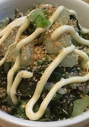食事療法！！　ワカメの白菜サラダ-レシピのメイン写真