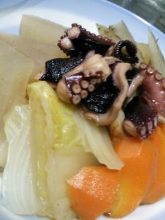 タコと大根ごぼう白菜にんじん☆煮込み!-レシピのメイン写真