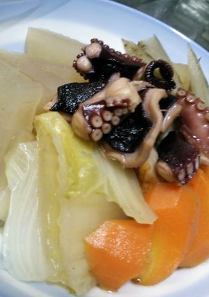 タコと大根ごぼう白菜にんじん☆煮込み！-レシピのメイン写真