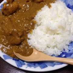 รูปของ ほうれん草カレー
