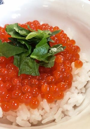 いくらの醤油漬け、お手軽版。-レシピのメイン写真