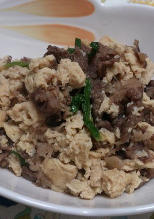 凍り豆腐と牛肉の炒り煮-レシピのメイン写真