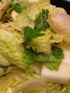 鶏胸肉と白菜のさっぱりサラダ-レシピのメイン写真