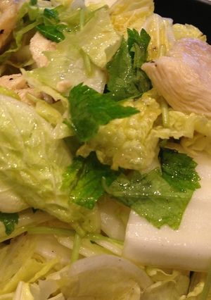 鶏胸肉と白菜のさっぱりサラダ-レシピのメイン写真