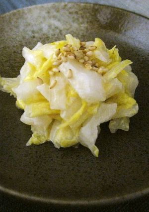 白菜のごま浅漬け-レシピのメイン写真