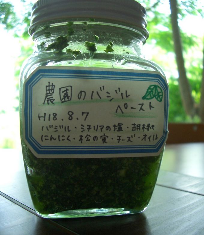 農園のバジルペースト-レシピのメイン写真