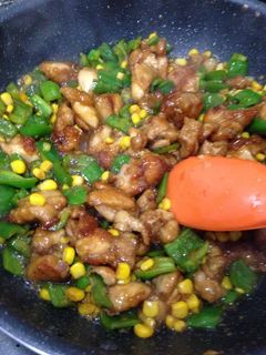 ピーマンと鶏肉の甘辛炒め〜覚え書き〜-レシピのメイン写真