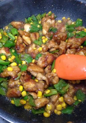 ピーマンと鶏肉の甘辛炒め〜覚え書き〜-レシピのメイン写真