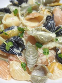 クリームソースパスタ~コンキリエ~-レシピのメイン写真