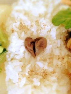 お弁当に♡ハートの梅干し-レシピのメイン写真