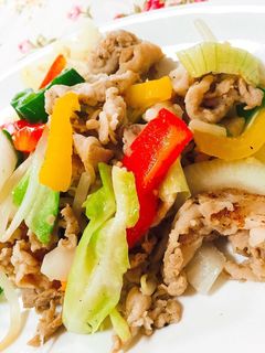 焼肉のたれ〈塩だれ〉で色どり野菜炒め-レシピのメイン写真