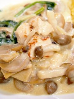 チキンときのこのクリーム煮-レシピのメイン写真