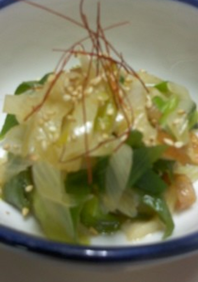 ヘルシー・簡単・長ねぎのさっと煮-レシピのメイン写真