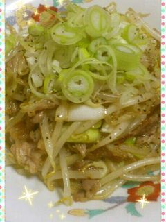 簡単♪長ねぎたっぷりもやしと豚肉炒め-レシピのメイン写真