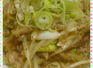 簡単♪長ねぎたっぷりもやしと豚肉炒め-レシピのメイン写真