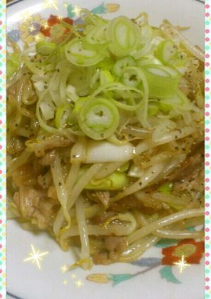 簡単♪長ねぎたっぷりもやしと豚肉炒め-レシピのメイン写真