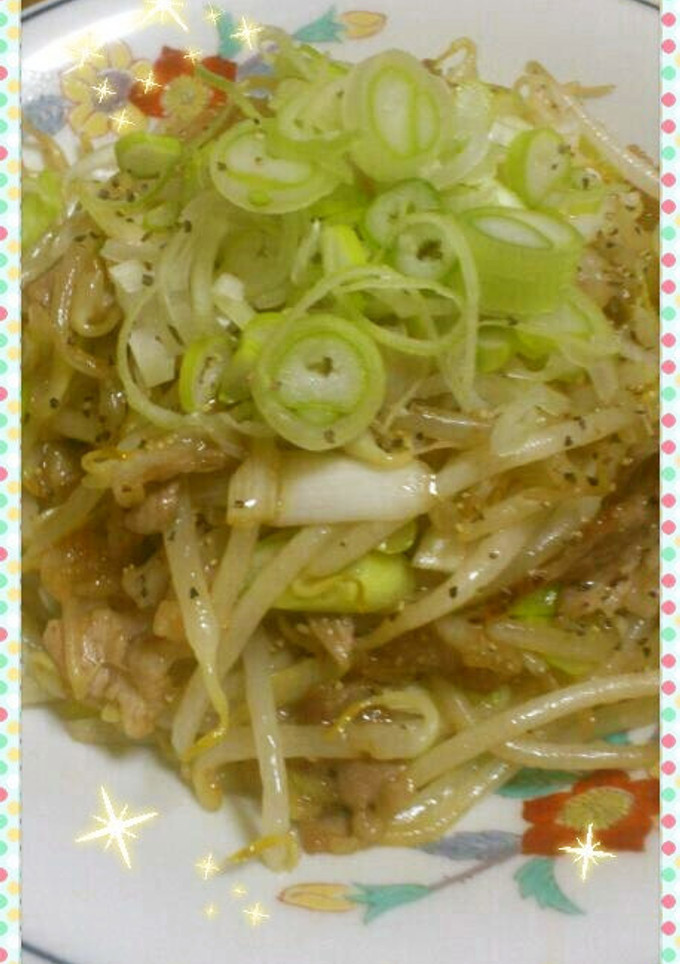 簡単♪長ねぎたっぷりもやしと豚肉炒め-レシピのメイン写真