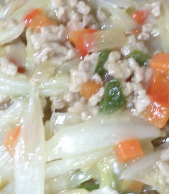 あんかけ丼　　シング1.7kg 2枚 総重量1キロ超のメニューも登場！伝説のすた丼屋「肉だくあんかけすた