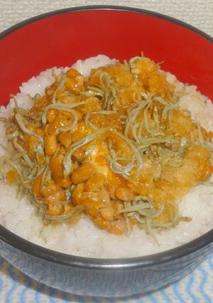 パパのじゃこ卸し納豆飯-レシピのメイン写真