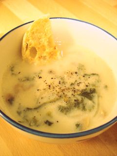 やわらかケールのミルクスープ-レシピのメイン写真