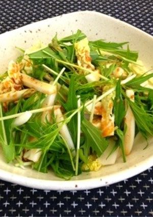 白菜と水菜のサラダ-レシピのメイン写真
