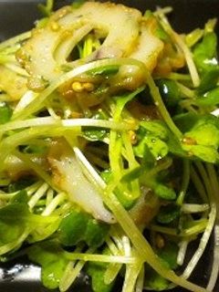 金ごまで貝割れ大根ちくわ中華サラダ-レシピのメイン写真