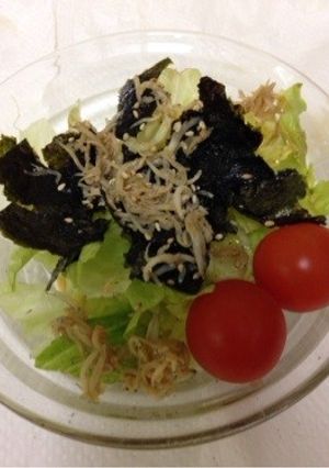 レタス海苔しらすサラダ-レシピのメイン写真