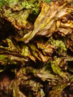【野菜、食べきっちゃおう】ケールチップス-レシピのメイン写真