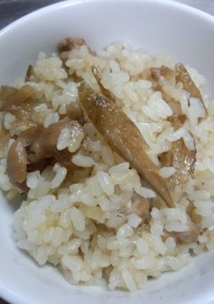 ☆鳥ごぼぅごはん☆-レシピのメイン写真