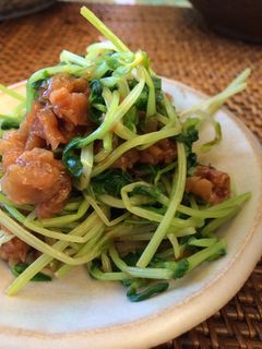 豆苗と梅のおひたし-レシピのメイン写真