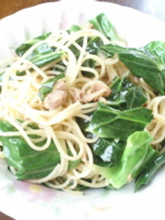 春到来!春キャベツとツナのパスタ-レシピのメイン写真
