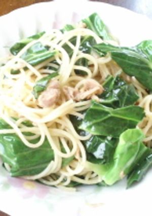 春到来！春キャベツとツナのパスタ-レシピのメイン写真