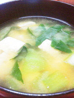 豆腐とちんげん菜の味噌汁-レシピのメイン写真