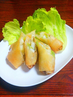 野菜たっぷりおさかな春巻*かまぼこ入り-レシピのメイン写真