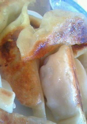 皮からつくる焼き餃子♪-レシピのメイン写真