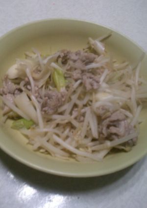 もやしねぎ豚肉塩炒め-レシピのメイン写真
