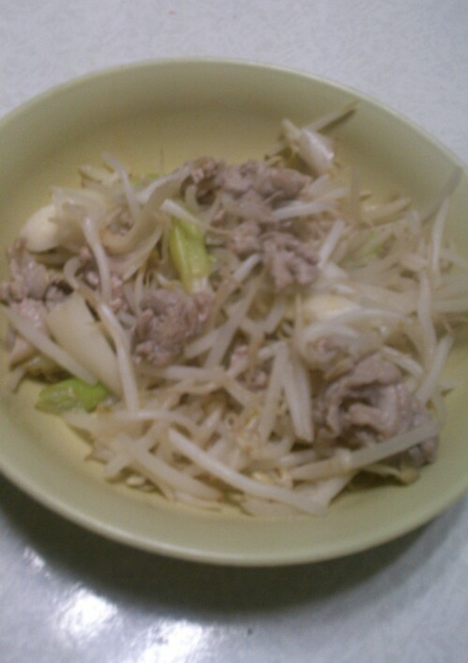 もやしねぎ豚肉塩炒め-レシピのメイン写真
