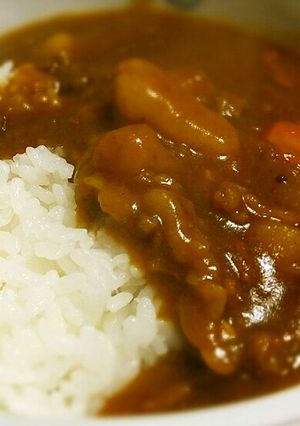我が家のカレーライス、普通です！-レシピのメイン写真