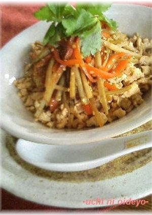 Don！きんぴらと鶏そぼろ丼-レシピのメイン写真